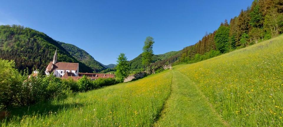 Ferienwohnung Bergspass Gaming Esterno foto